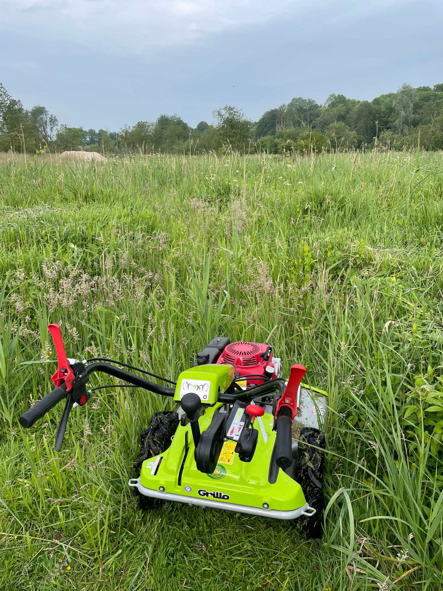 comercial mowing, grass mowing